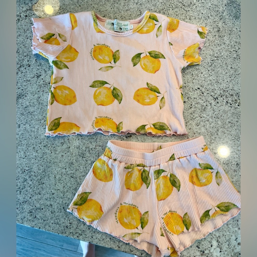 Adorable summer outfit matching set lemons Monday and Meadows little girl 5-6